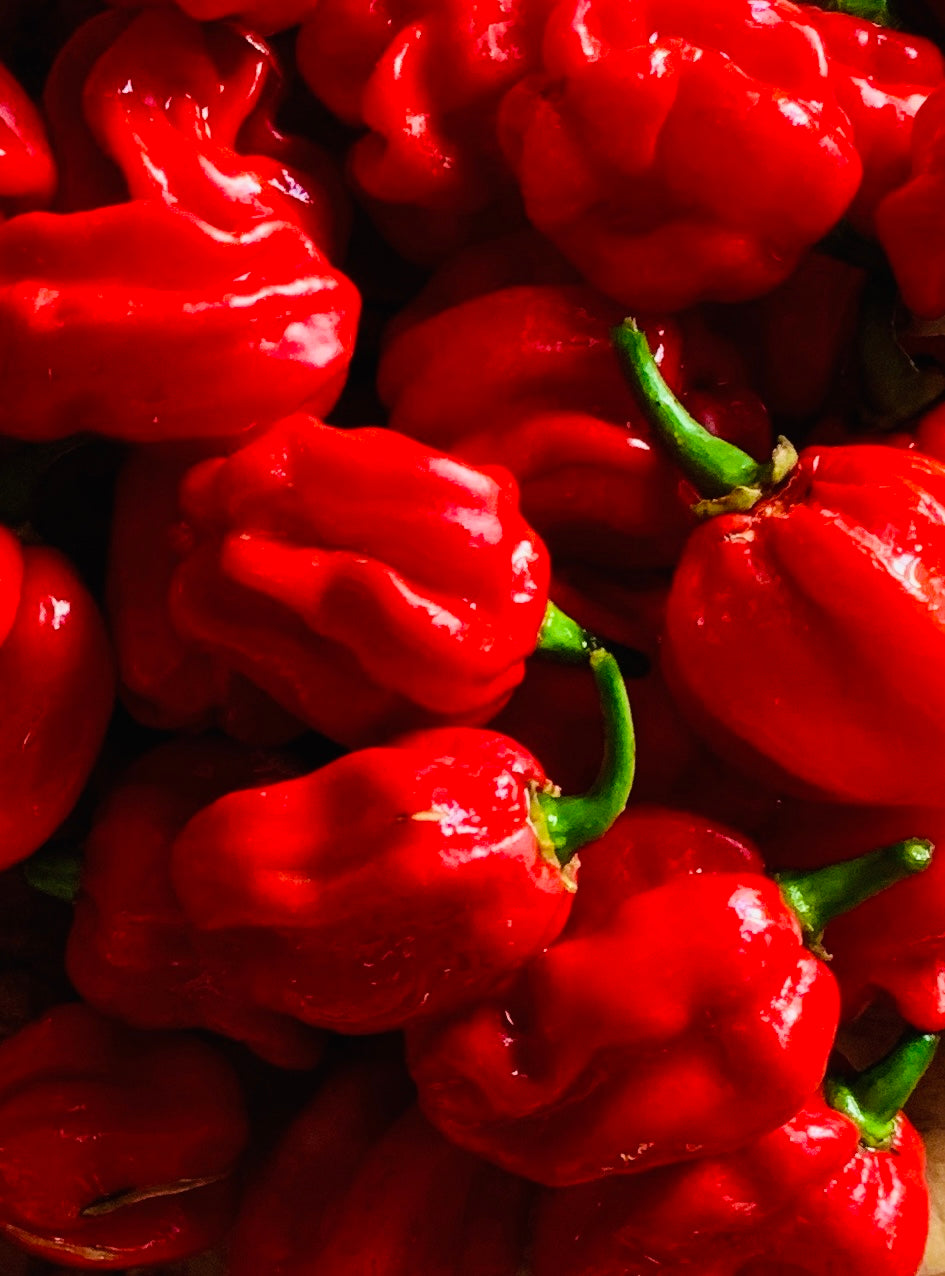 HEUL DOCH - Classic ~ 400.000 Scoville / 40ml