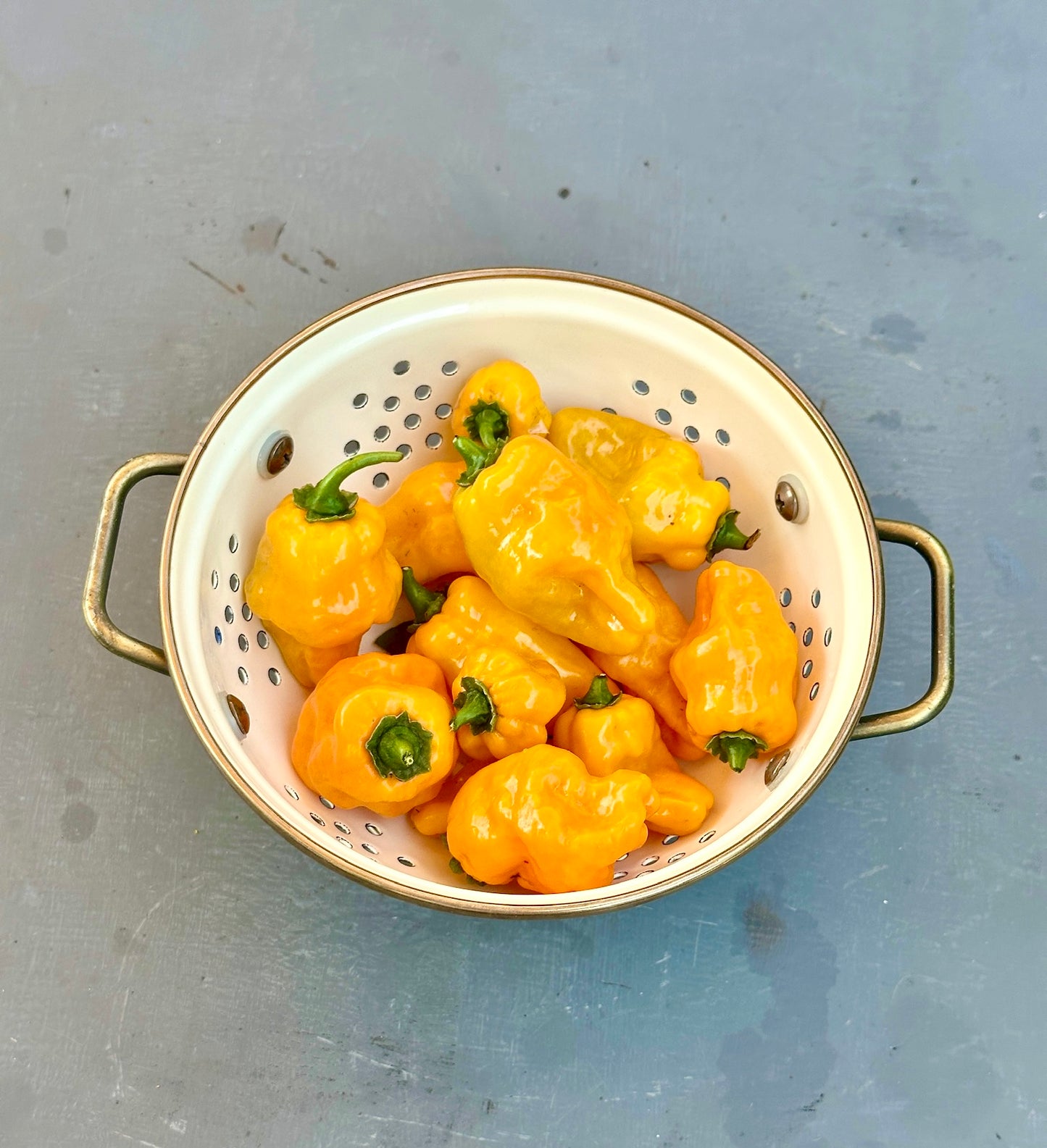 HEUL DOCH - Leise 40ml