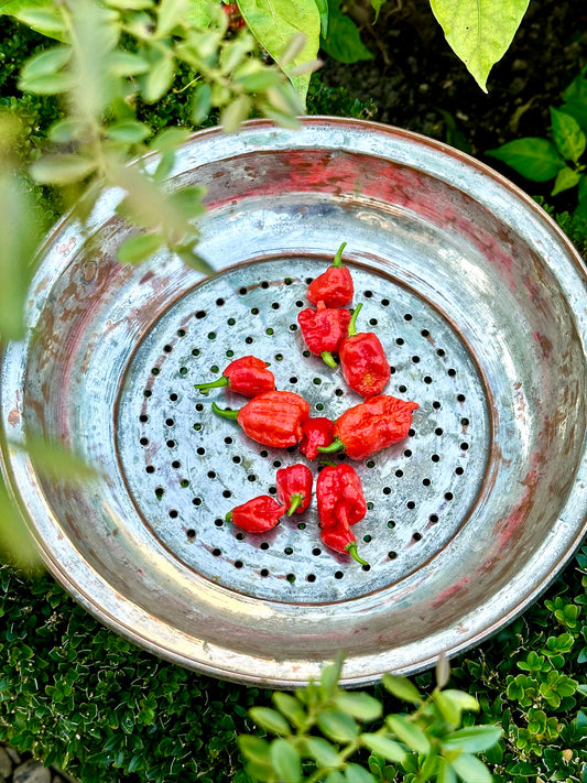 HEUL DOCH - Für Extra 40ml